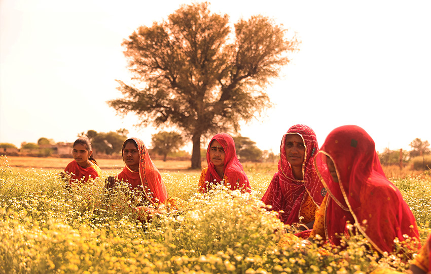 A TABLE TO FARM CULINARY EXPERIENCE, JODHPUR